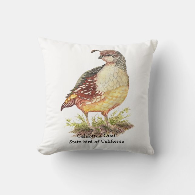 Original Watercolor California Quail  State Bird Cushion (Front)