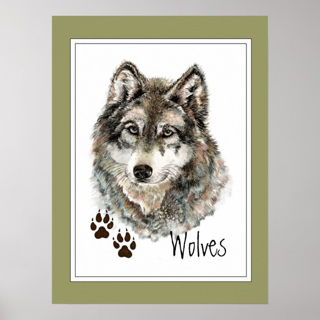 Original Watercolor Gray  Wolf- Tracks Animal Poster (Front)
