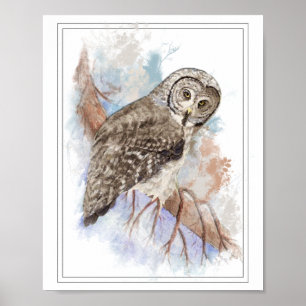 Original Watercolor Great Grey Owl Bird Poster
