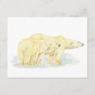 Original Watercolor Polar Bear Family Animal Postcard
