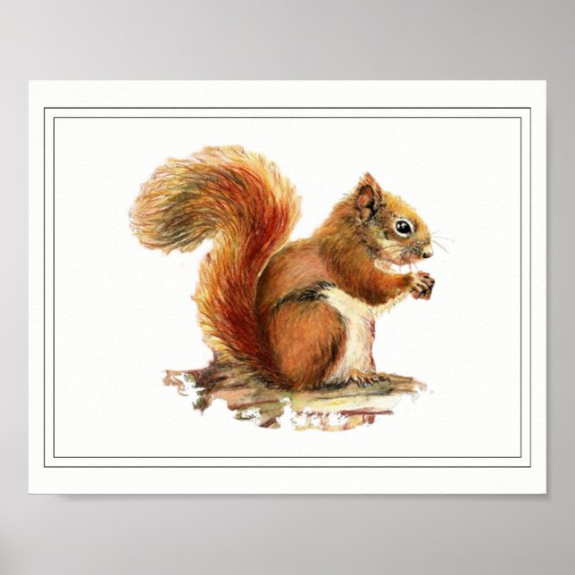Original Watercolor Red Squirrel Nature Art Poster (Front)
