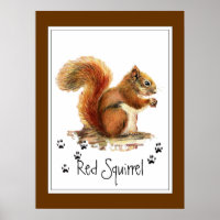 Original Watercolor Red Squirrel Tracks Animal