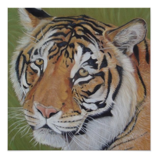 original wildlife painting portrait of tiger poster (Front)