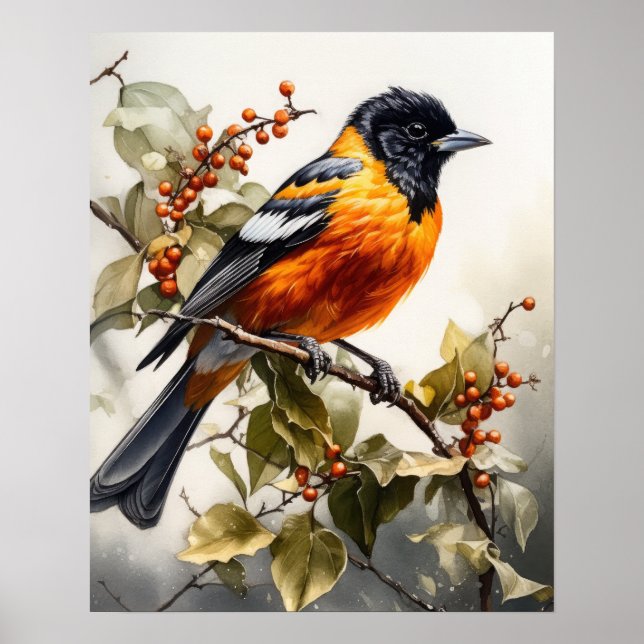 Oriole Bird Art Print Poster (Front)