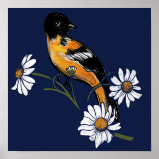 Oriole Bird Daisy Flower Nature Art Poster