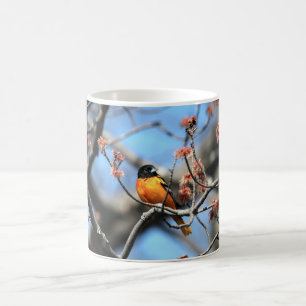 Oriole Coffee Mug