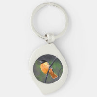 Oriole Painting - Original Bird Art