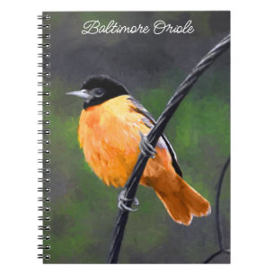 Oriole Painting - Original Bird Art Notebook