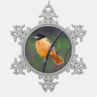 Oriole Painting - Original Bird Art