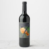 Oriole Painting - Original Bird Art