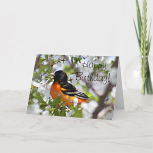 Oriole photo card