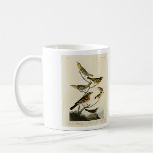 Orioles, Thrushes, from Audubon's Birds of America Coffee Mug