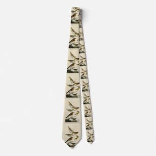 Orioles, Thrushes, from Audubon's Birds of America Tie