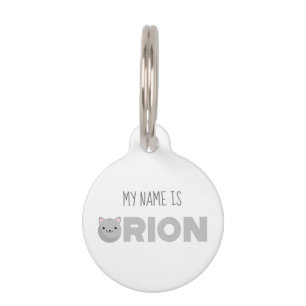 Orion Grey or Ginger Cat Pet ID Tag
