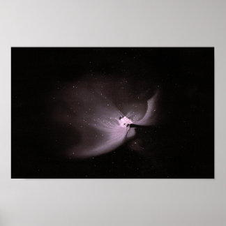 Orion Nebula Poster