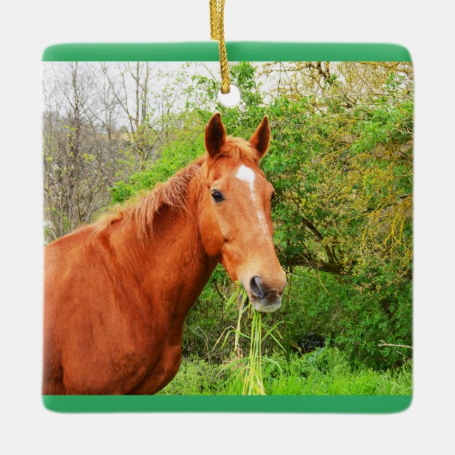 Orion the hungry horse ceramic ornament (Front)