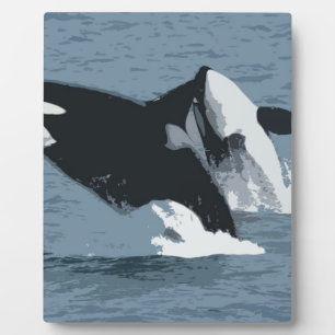 Orka Whale Plaque