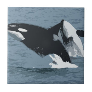 Orka Whale Tile