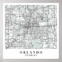 Orlando Florida Blue Water Street Map