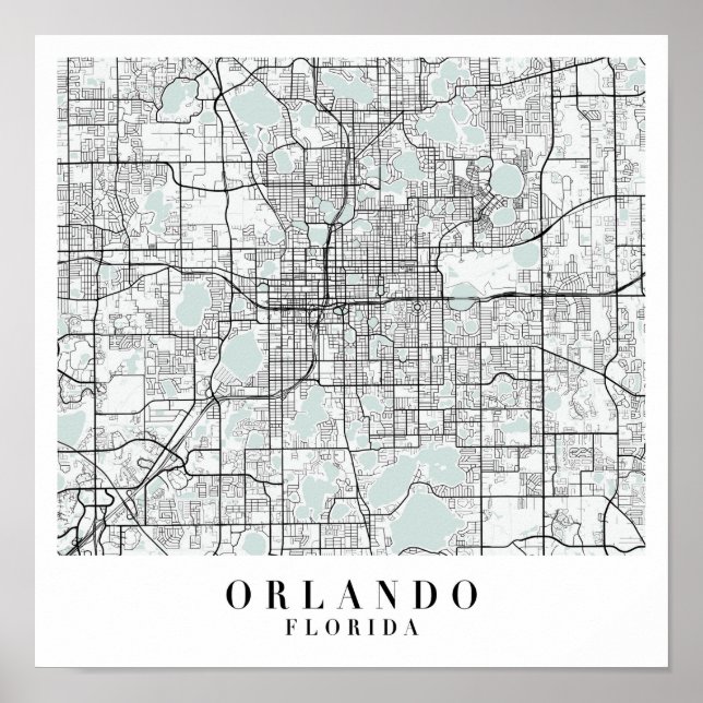 Orlando Florida Blue Water Street Map Poster (Front)
