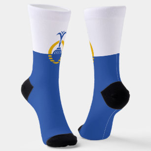 Orlando (Florida) city flag Socks