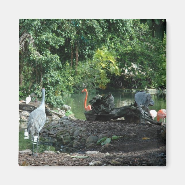 Orlando Florida Magnet (Front)