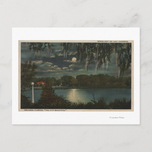 Orlando, Florida - Moonlit View of Lake Cherokee Postcard (Front)