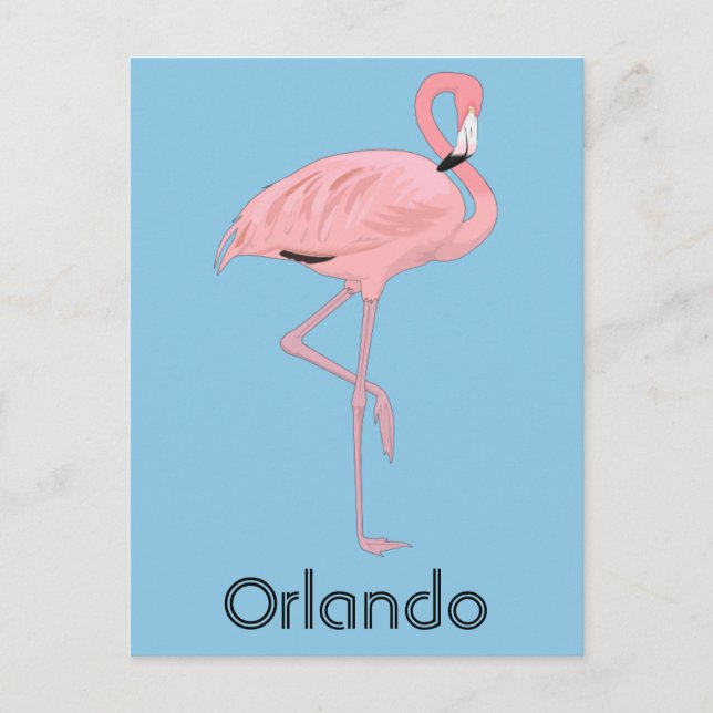 Orlando Florida Pink Flamingo Postcard (Front)