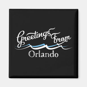 Orlando Water Waves Magnet