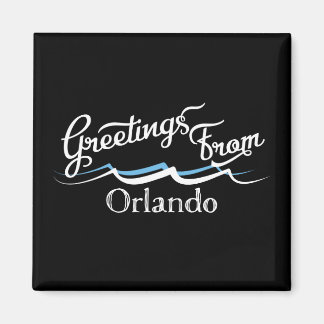 Orlando Water Waves Magnet