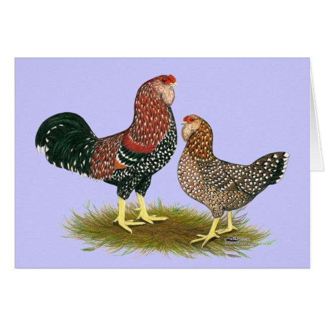 Orloff:  Spangled Pair (Front Horizontal)