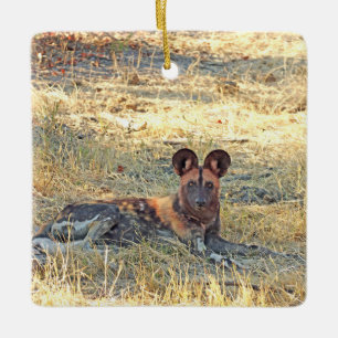 Ornament