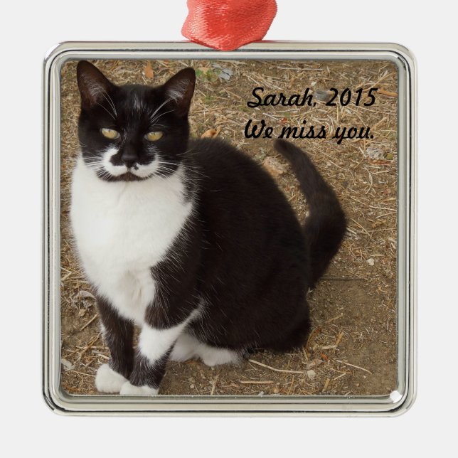 Ornament: Black Tuxedo Cat Sitting Metal Tree Decoration (Front)