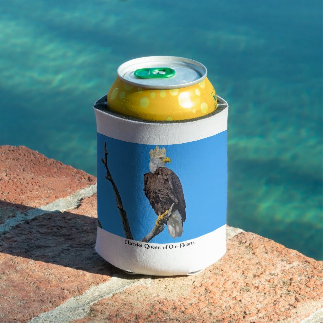 Ornament Can Cooler (In Situ Pool)