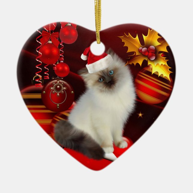 Ornament Christmas Cat With Santa Hat (Front)
