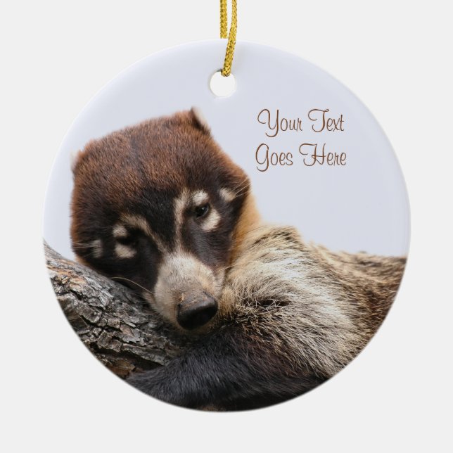 Ornament: Coatimundi #4 (Circle) Ceramic Tree Decoration (Front)