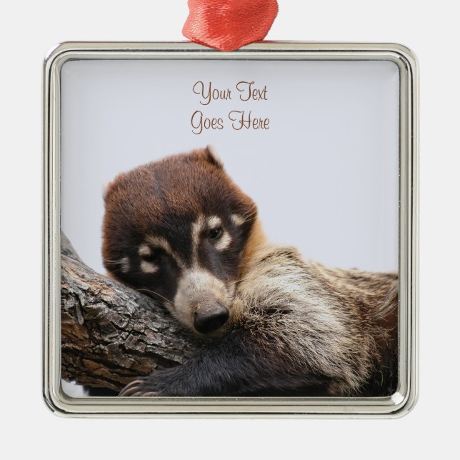 Ornament: Coatimundi #4 (Premium Square) Metal Tree Decoration (Front)