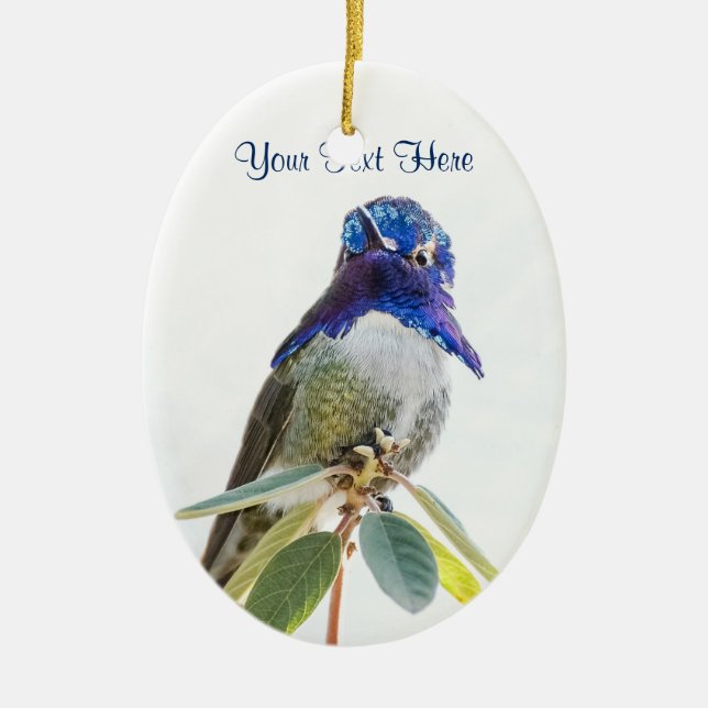 Ornament: Costa's Hummingbird (Oval) Ceramic Tree Decoration (Front)