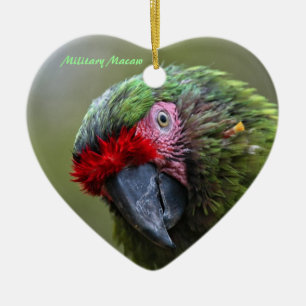 Ornament: Military Macaw (Heart) Ceramic Tree Decoration
