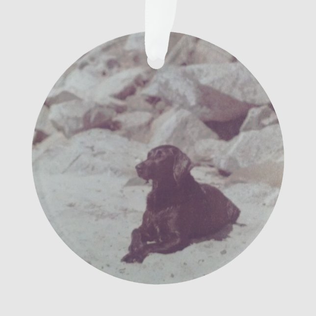 Ornament of Baker (Front)