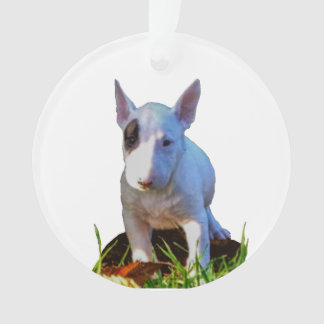 Ornament Personalized fir tree - Bull terrier