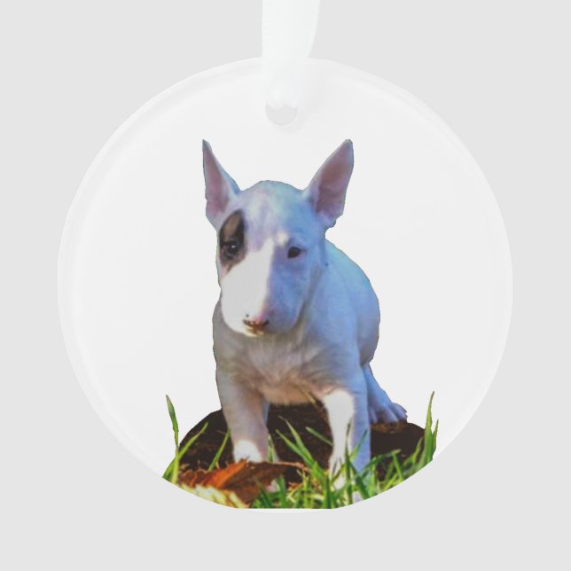 Ornament Personalized fir tree - Bull terrier (Front)