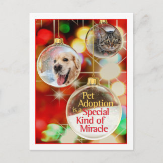 ornament-postcard postcard