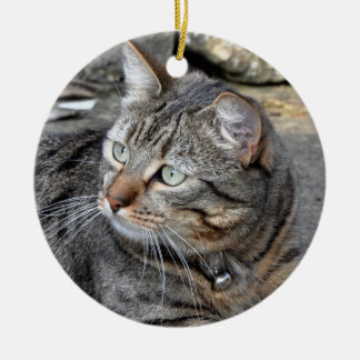 Ornament: Tabby cat Ceramic Tree Decoration