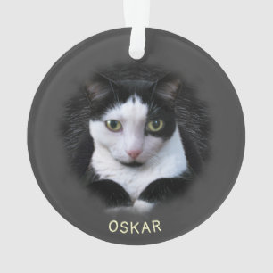 Ornament w. 2 of your Pet Photos & Names Acrylic