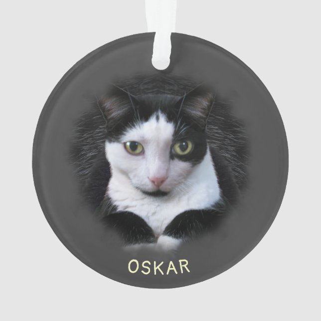 Ornament w. 2 of your Pet Photos & Names Acrylic (Back)