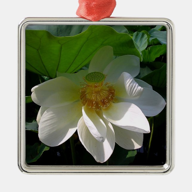 Ornament with delicate white Lotus Flower (Front)