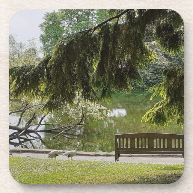 Ornamental Duck Pond Coaster (Front)