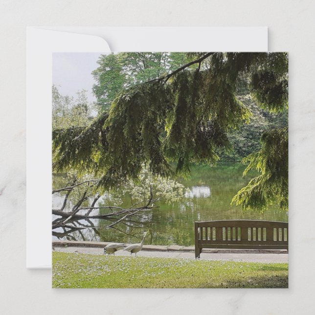 Ornamental Duck Pond Flat Card (Front)