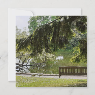 Ornamental Duck Pond Flat Card